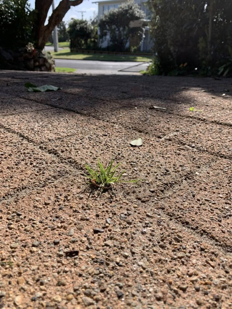 a275365c-0e33-4bde-941c-052a7ce7546d